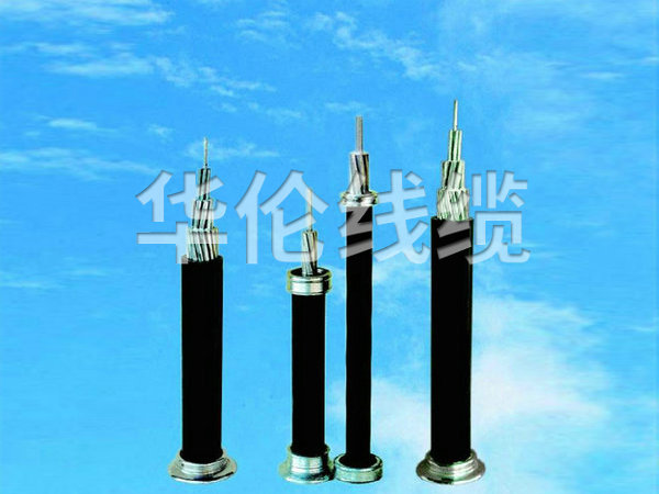 額定電壓1-10KV架空絕緣電纜 (JKLYJ JKLGYJ).jpg